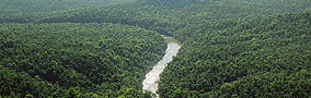 Excursion Cabalgata por la Selva Misionera
