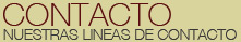 Contacte con nuestra agencia de Viajes