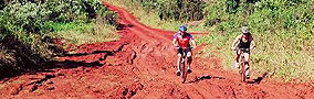 Ecoaventura en la Selva Misionera