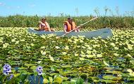 Esteros del Ibera, Corrientes