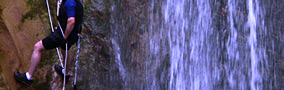 Excursion Iguazu forest