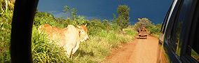 Excursion todo terreno Iguazu